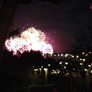 老婆去农场给马当媳妇
