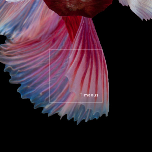 老婆去农场给马当媳妇
